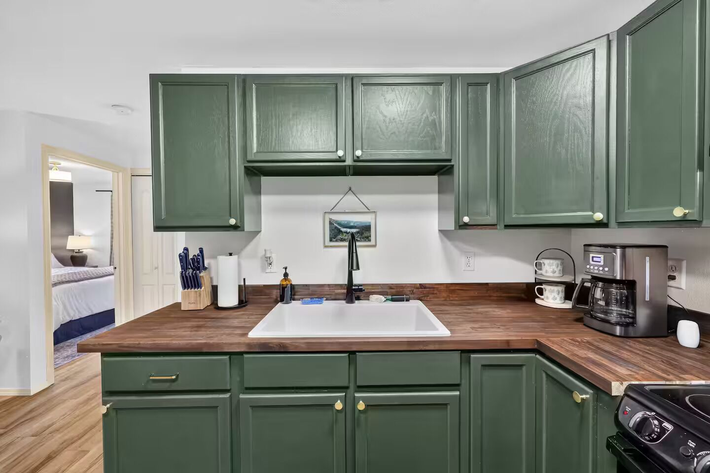 Cocina compacta con gabinetes verdes, un lavamanos blanco, cafetera y estufa.