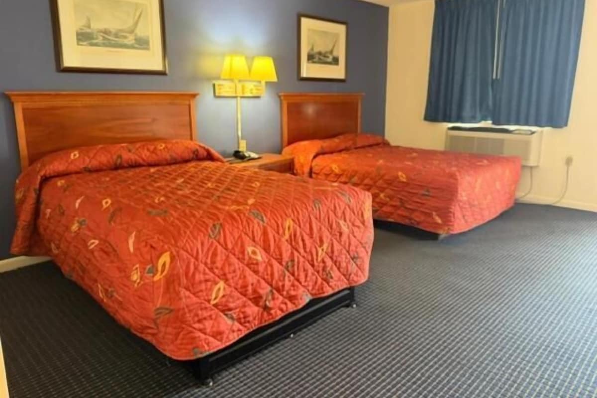 Comfort Double Room, 2 Single Beds, Microwave, City View | Desk, laptop workspace, free WiFi, bed sheets