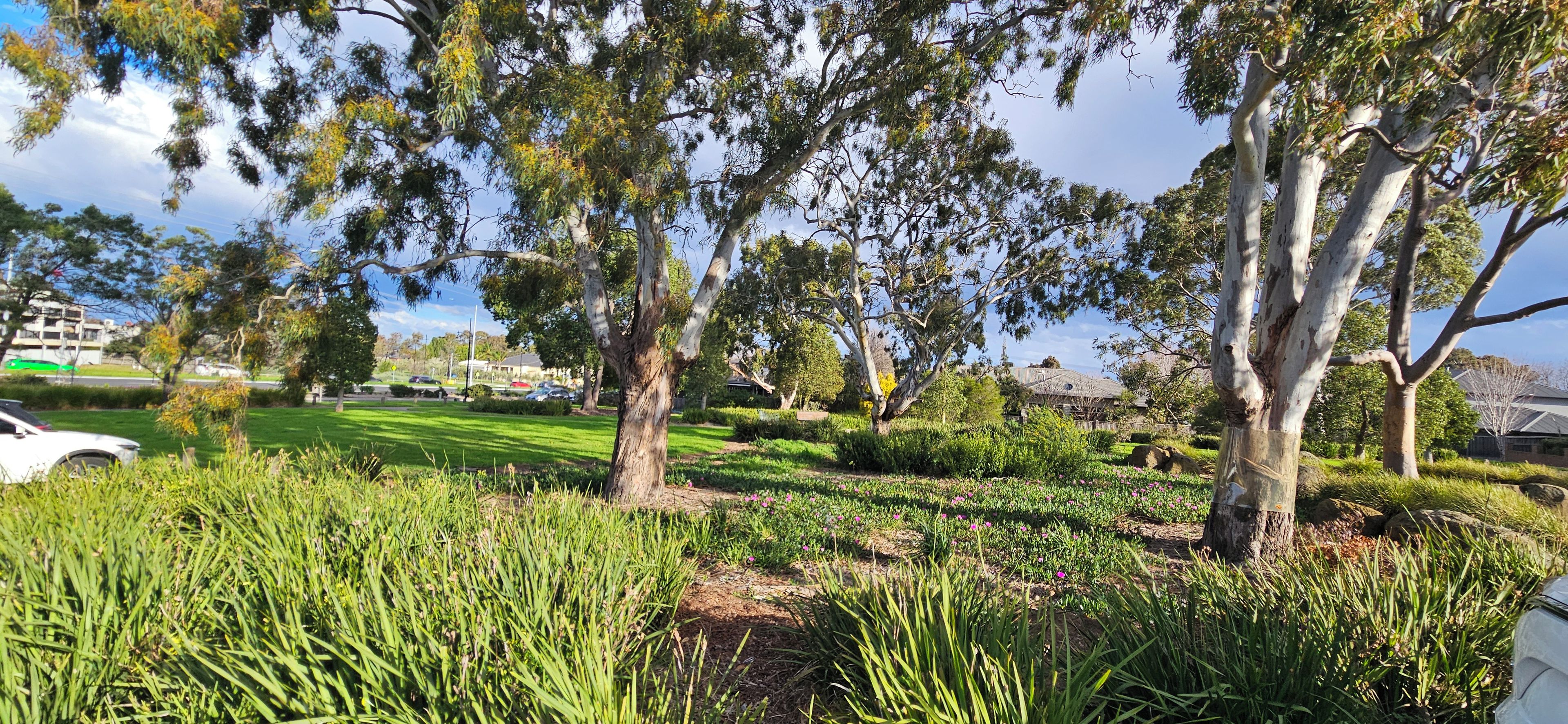 A park with trees, grass, and a car.