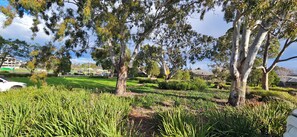 A park with trees, grass, and a car.