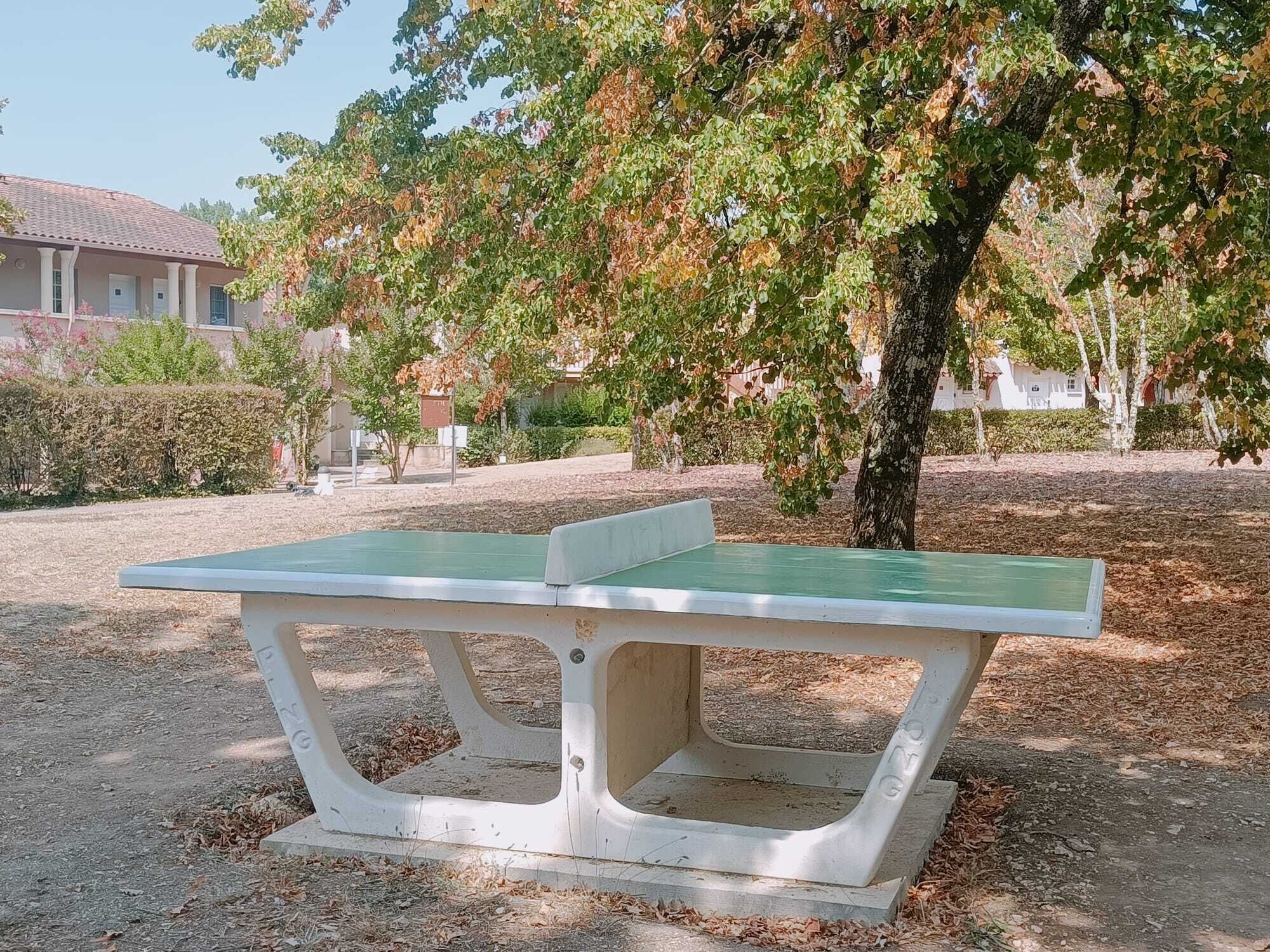 A park with a green picnic table and a tree.