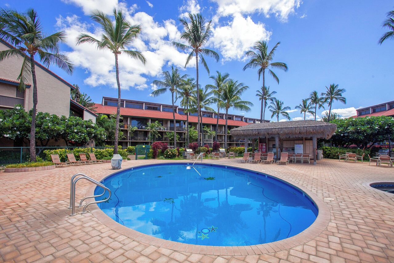 A swimming pool with a thatched roof structure, surrounded by palm trees and lounge chairs.