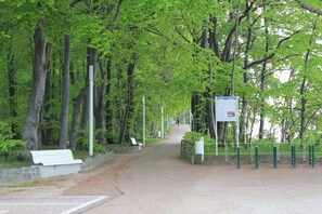 A pathway lined with trees and benches, leading to a signpost.