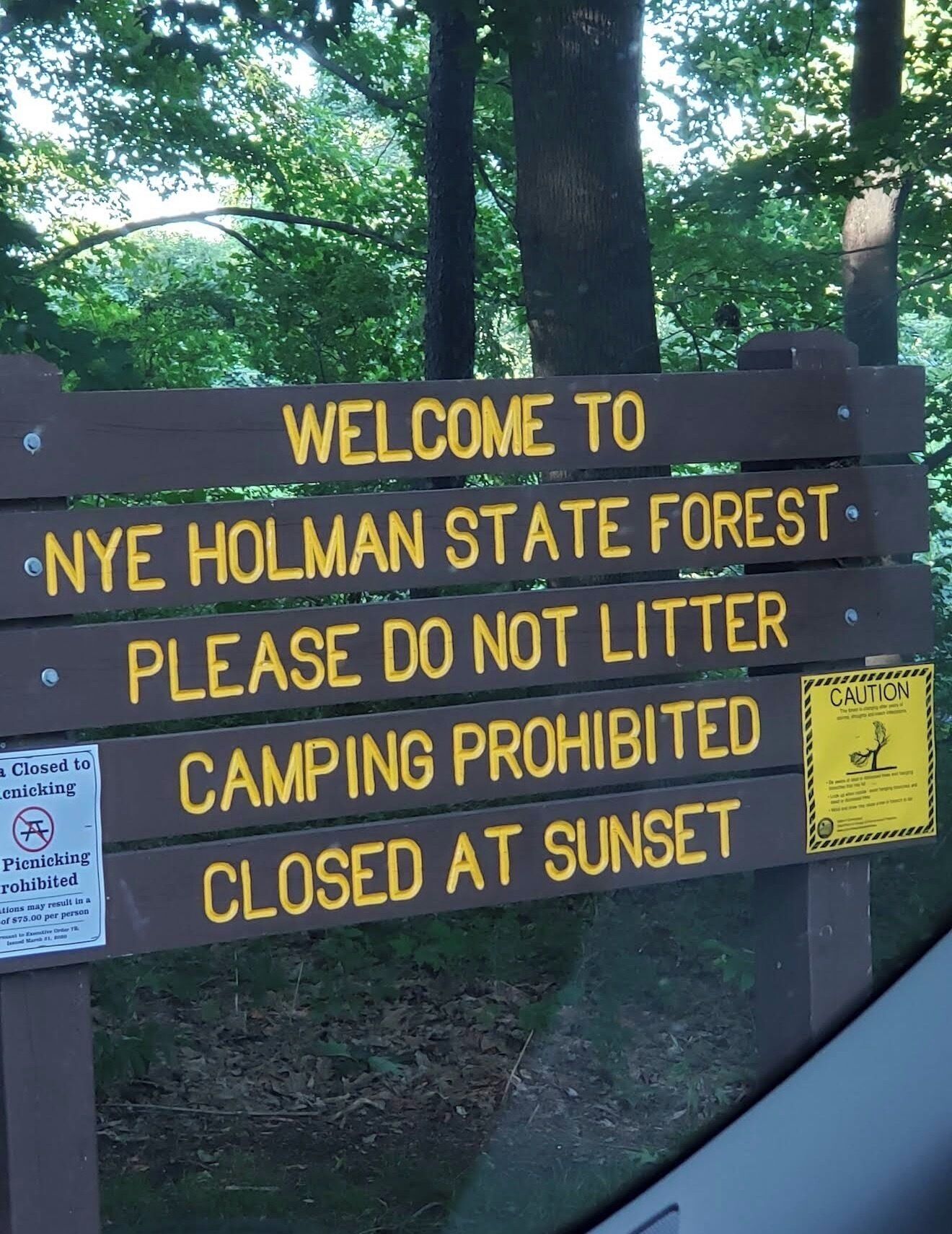 A sign welcoming visitors to Nye Holman State Forest with restrictions on littering, camping, and picnicking.