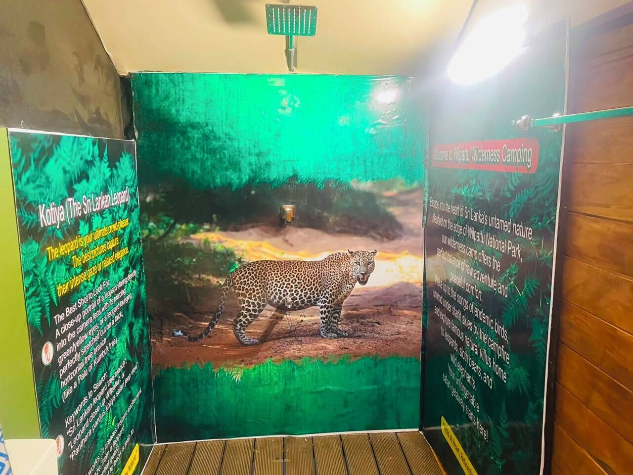 Une exposition sur la faune sauvage comprenant un léopard, des panneaux d’information et un décor de fond vert.