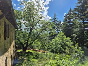 Un bâtiment rustique à l’extérieur en pierre, entouré d’une végétation luxuriante et de grands arbres.
