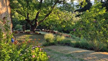 A garden with a variety of plants and trees, a wooden structure, and a clear sky.