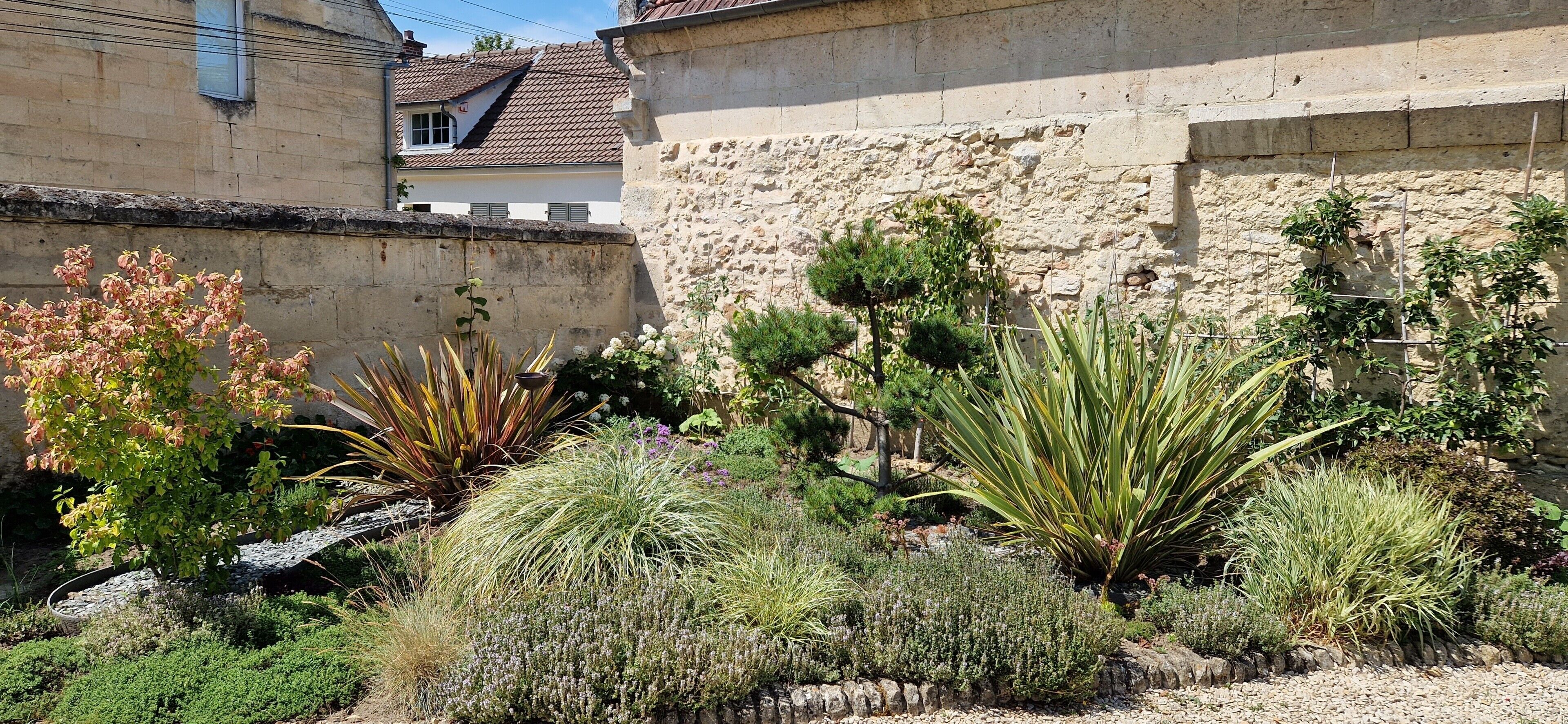 Un jardin avec différentes espèces de plantes et un mur en pierre.