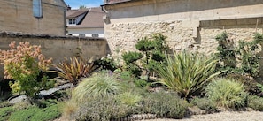 A garden with various plants and a stone wall.