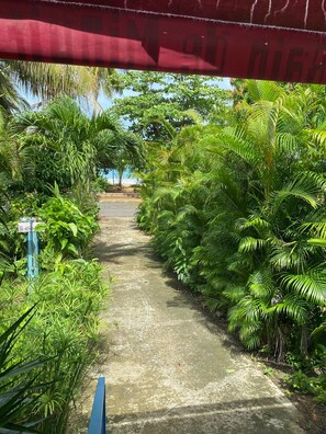 A pathway surrounded by dense tropical foliage, leading to a beach. - Creole House on the Beach - Double Bed - Free Parking (Deshaies)