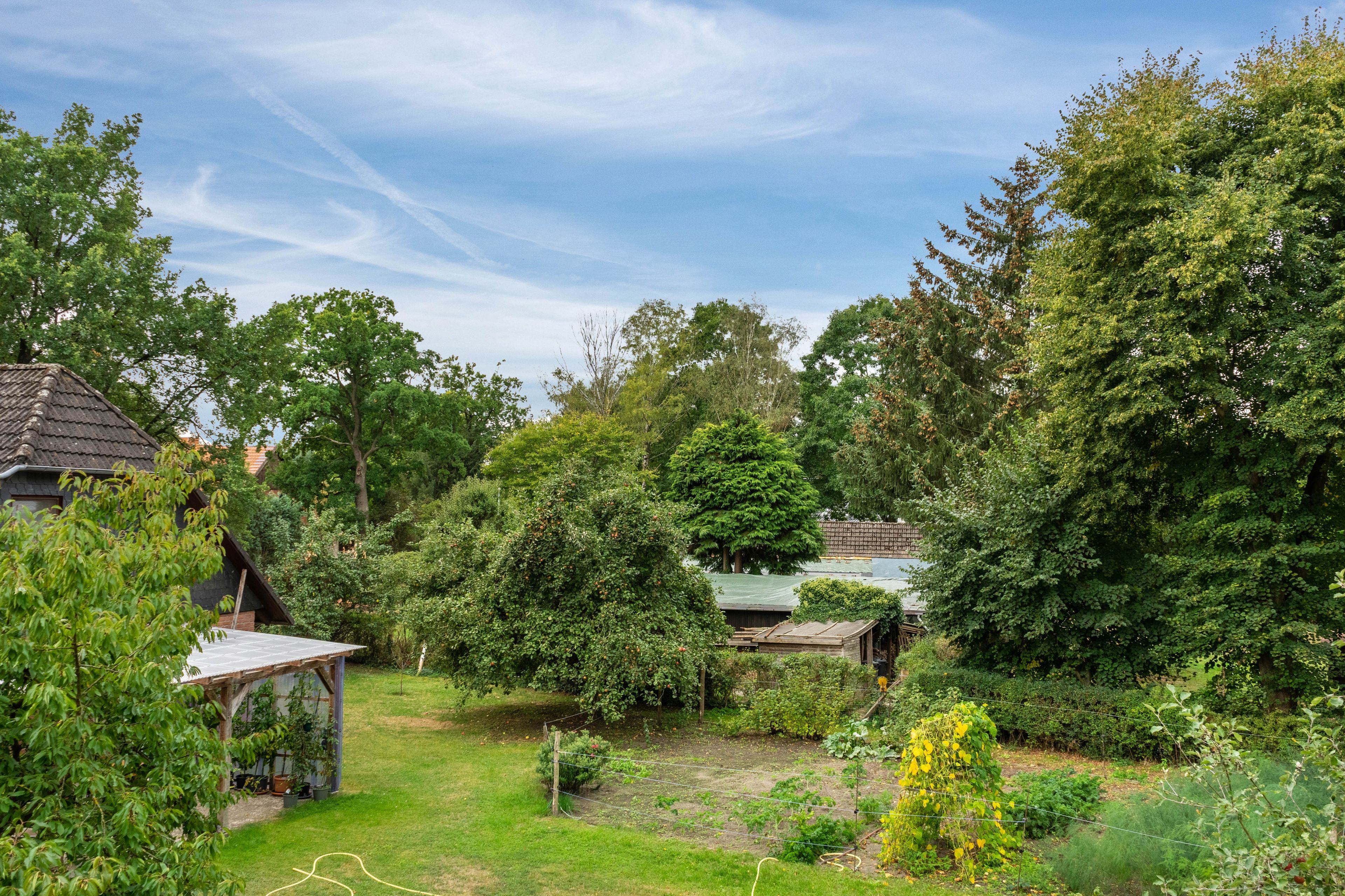 Ein Garten mit verschiedenen Bäumen und Sträuchern, einer kleinen Holzkonstruktion und blauem Himmel.
