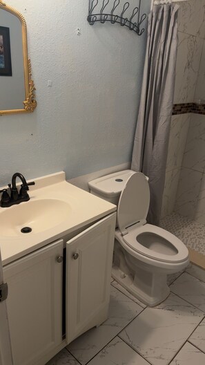 A bathroom with a sink, two toilets, a shower curtain, and a mirror with a gold frame. - Private Sarasota Guest House Near Beaches, Downtown & Siesta Key (Sarasota)
