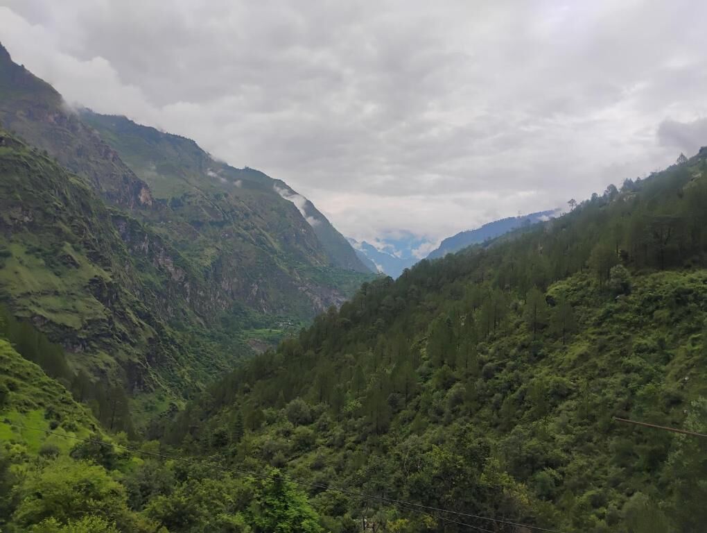 Un paisaje montañoso con densa cubierta forestal y un valle.