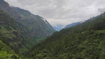 Un paisaje montañoso con densa cubierta forestal y un valle.