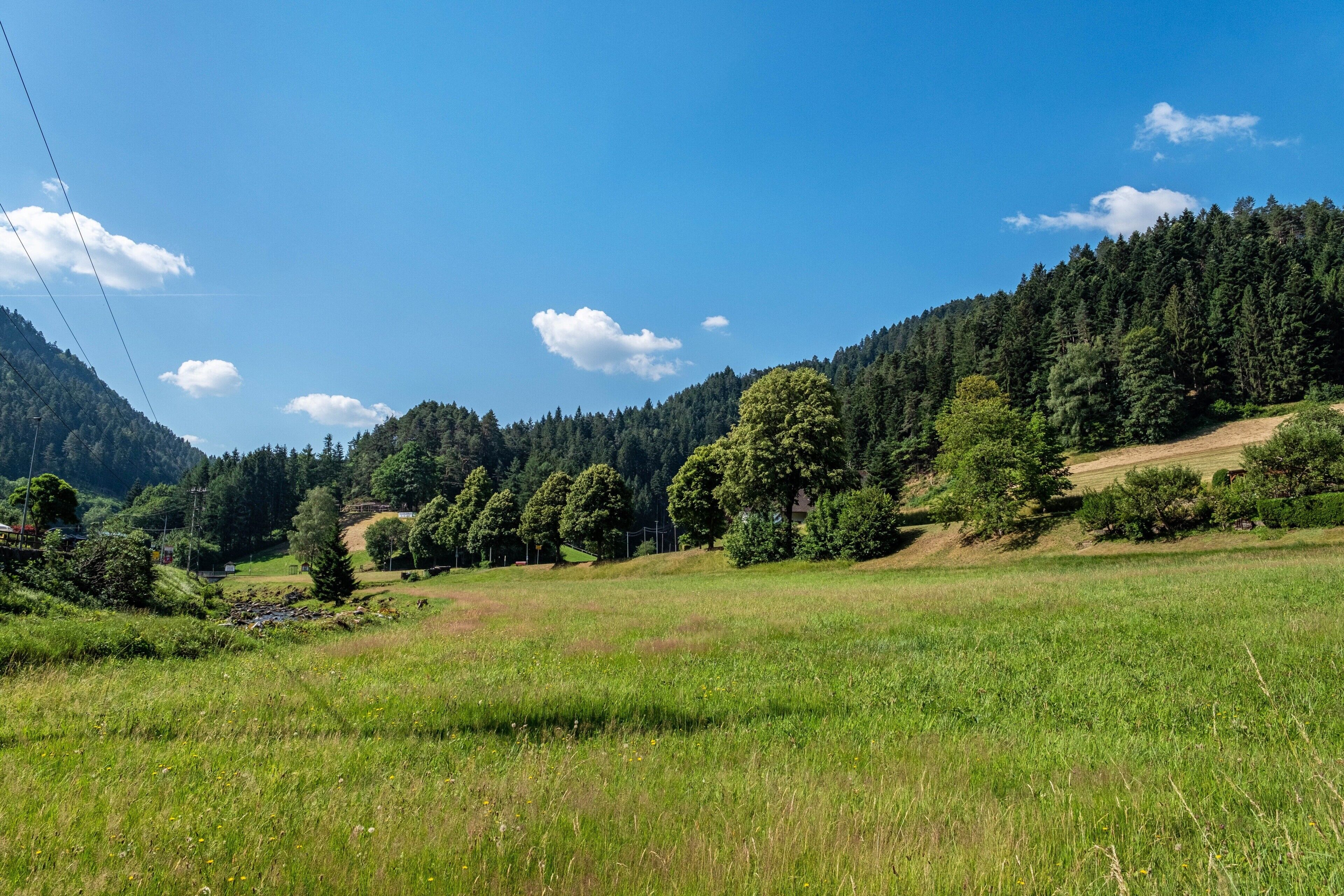 Un paysage rural caractérisé par un ciel dégagé, des champs verdoyants et une colline boisée.