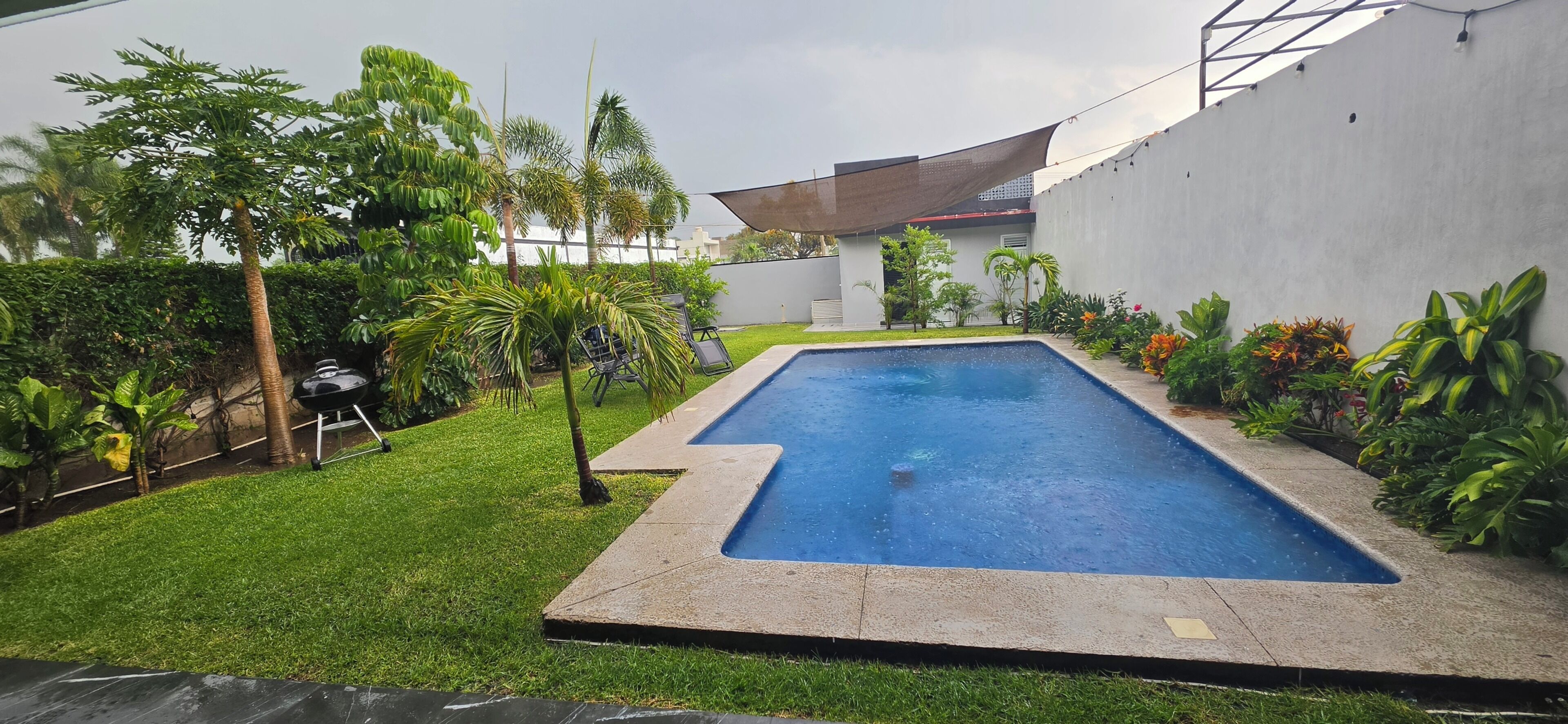 A rectangular swimming pool with a surrounding grassy area and various plants.