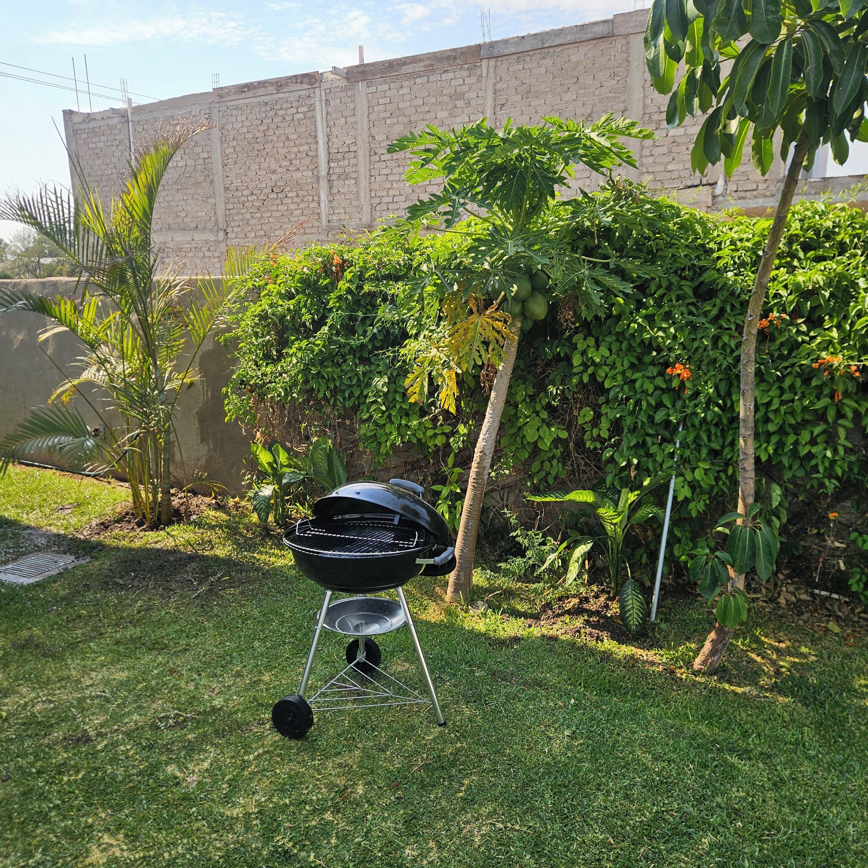 Un patio trasero con una parrilla, un muro de ladrillo y varias plantas.