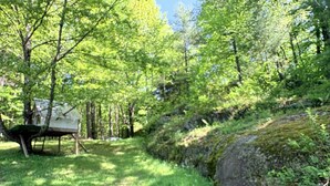 Ein Campingplatz mit überdachtem Picknicktisch und einer natürlichen Umgebung mit Bäumen und einer Rasenfläche.