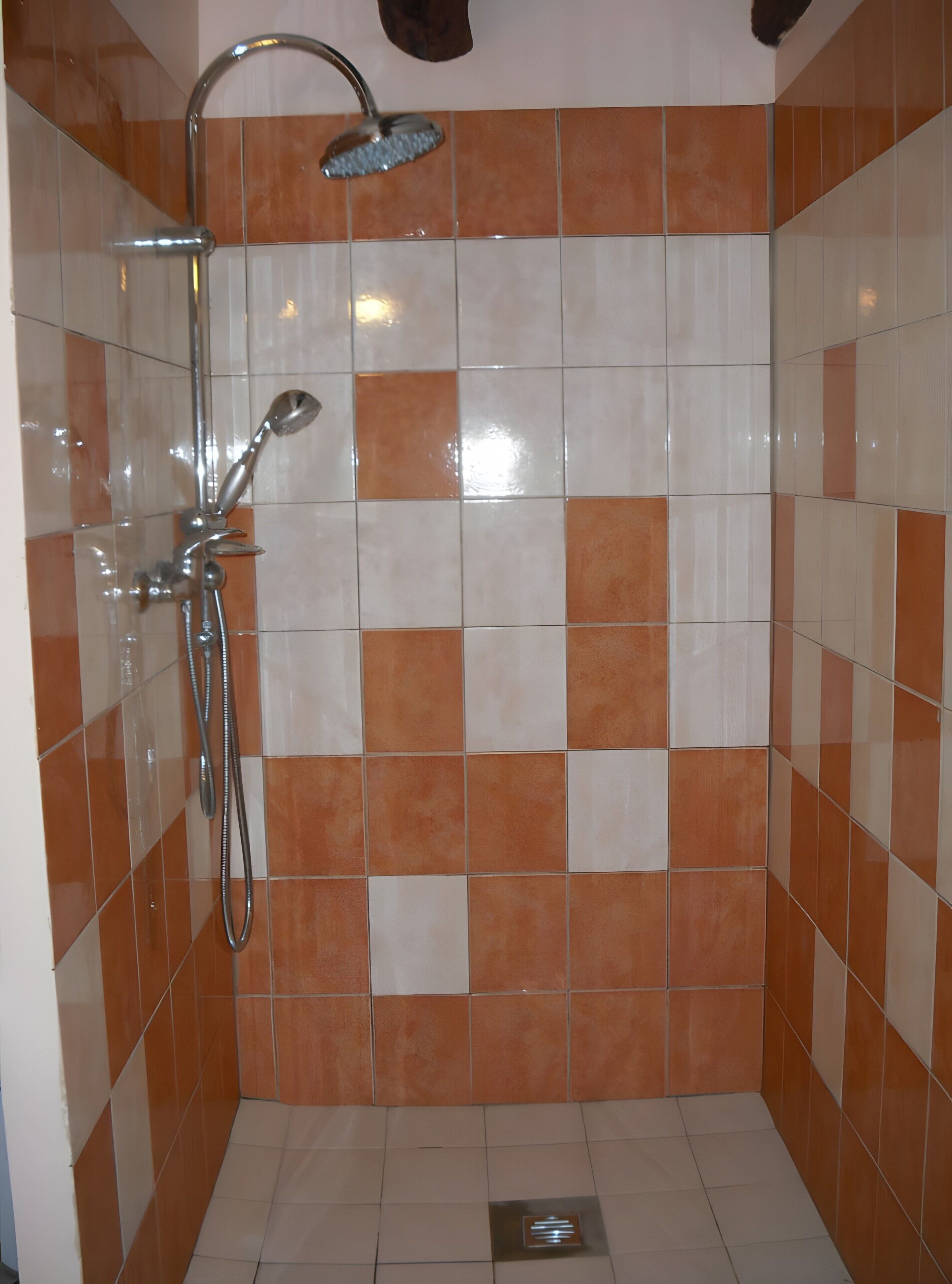 Shower, hair dryer
