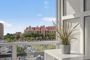 Une plante en pot, placée sur un rebord de fenêtre, d’où l’on peut admirer le paysage urbain.