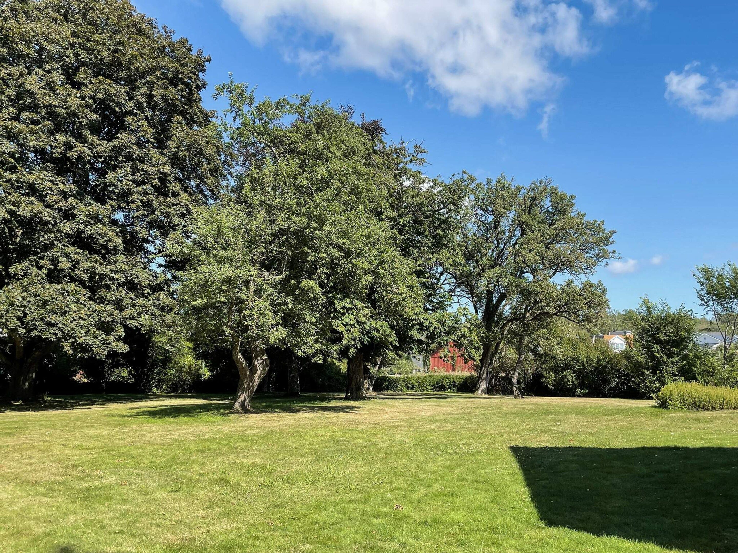 A grassy outdoor area with trees and a red building in the background.