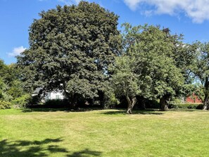 A grassy area with large trees and a white building in the background. - 6 Person Holiday Home in Gullbrandstorp (Haverdal)