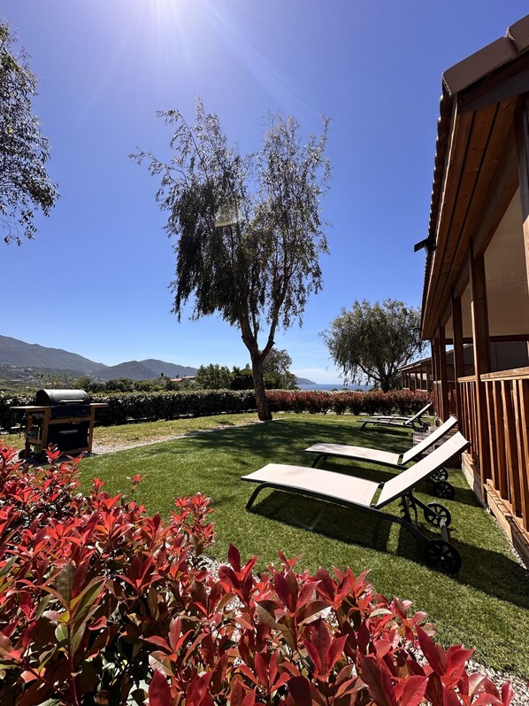 A sunny outdoor area with a barbecue grill, lounge chairs, and a tree.