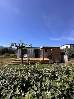 Ein modernes Haus mit Terrasse, kleinem Garten und blauem Himmel.