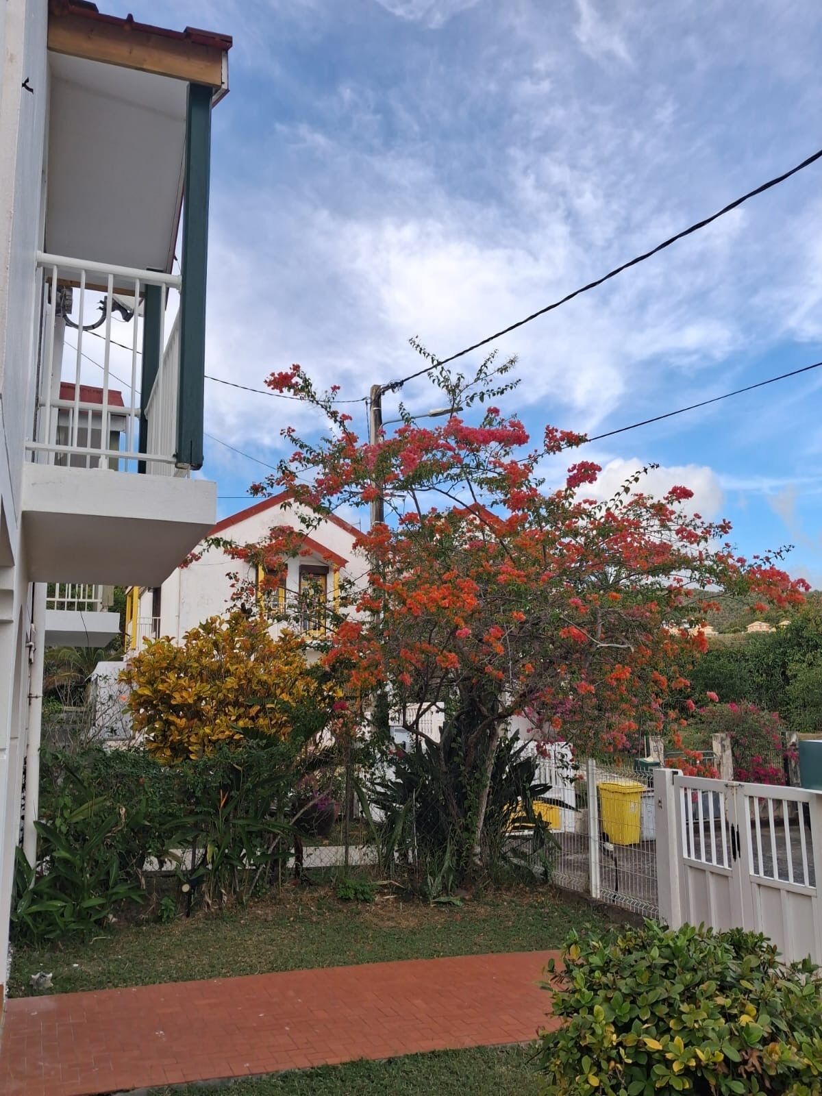 Ein Wohngebäude mit Balkon, einem Garten mit blühenden Pflanzen und blauem Himmel.