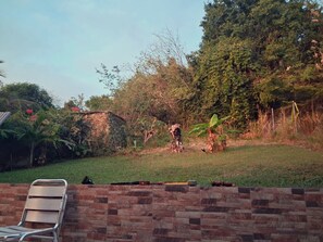 Ein Garten mit Backsteinmauer, Metallstuhl und verschiedenen Pflanzen.