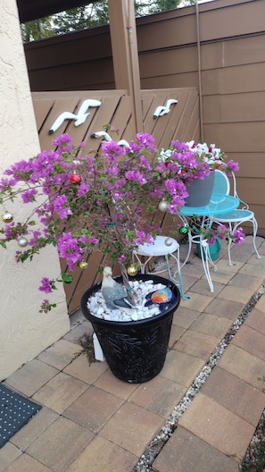 A potted plant with purple flowers, a white chair, and a small table on a patio. - 2-bdrm 2 bath Lake condo with large picture windows providing serene lake views (New Port Richey)