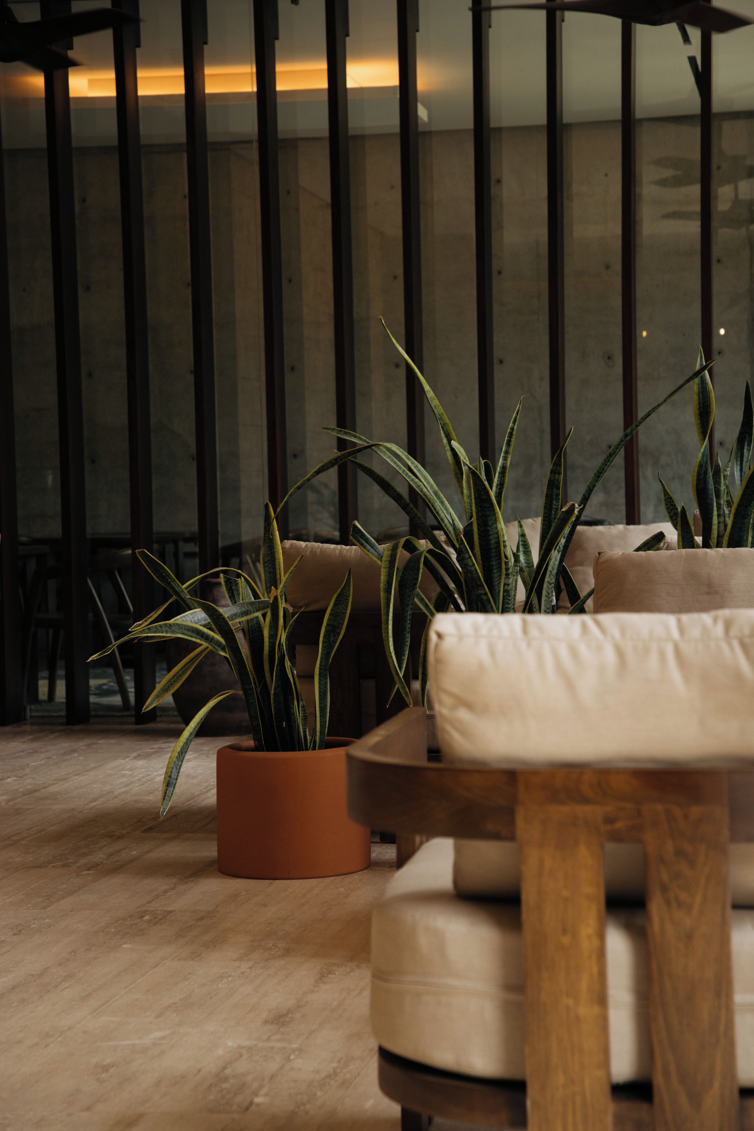 A modern interior with a sofa, a potted plant, and a wooden table.