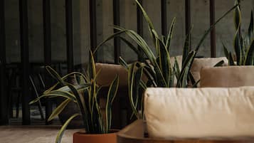 A modern interior with a sofa, a potted plant, and a wooden table.