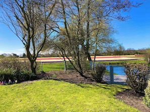 A grassy area with trees and a fence, leading to a field with colorful flowers. - Maralong in Noordwijk (Noordwijk)