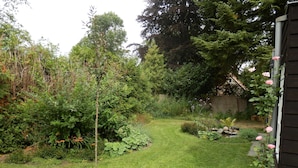 Um jardim bem cuidado, com diversas plantas e um caminho bem definido.