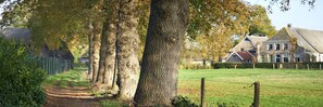 A rural landscape with a path leading to a house surrounded by trees. - Family Villa With Jacuzzi & Large Garden (Balkbrug)