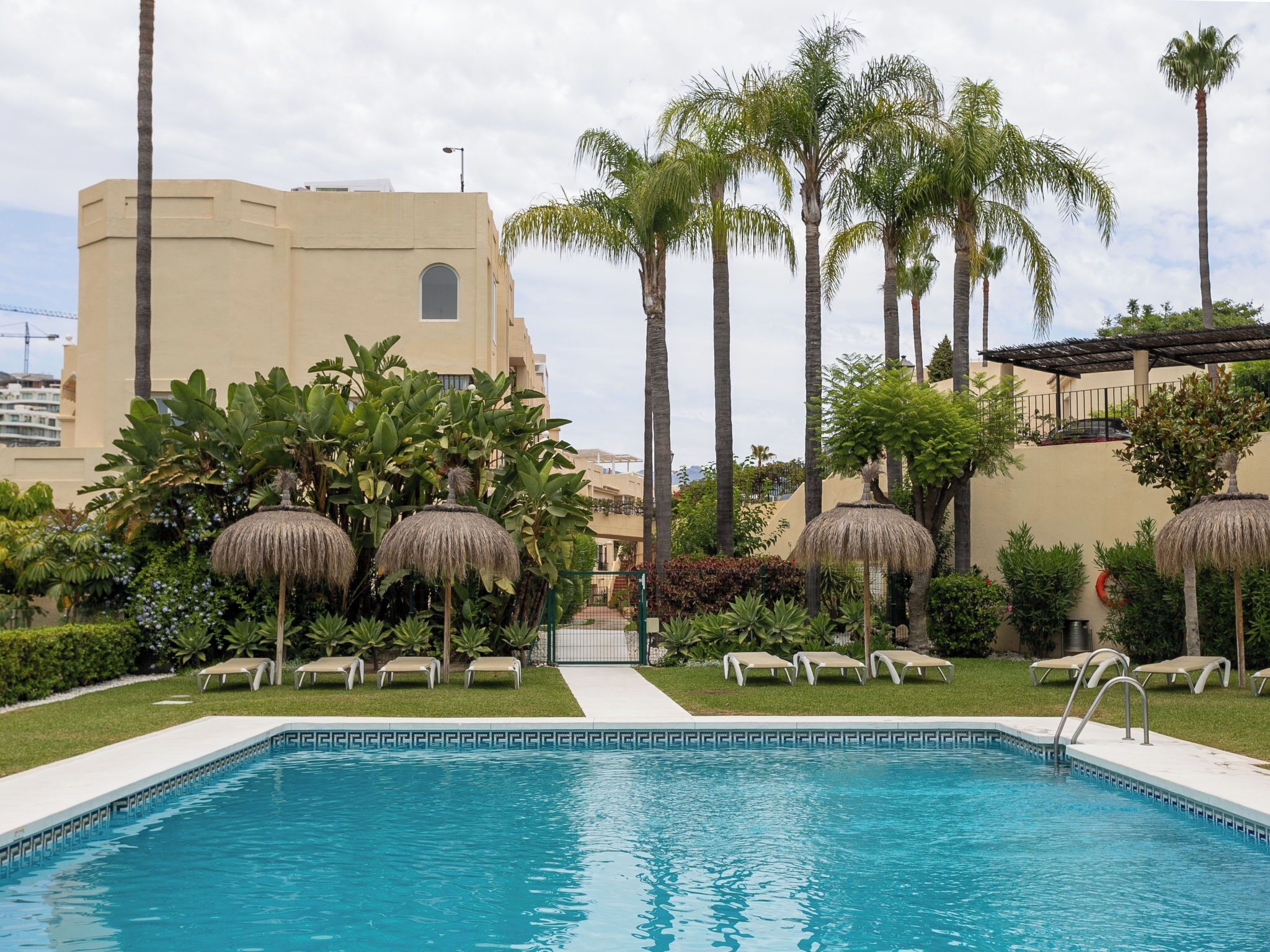 A swimming pool with lounge chairs and palm trees.