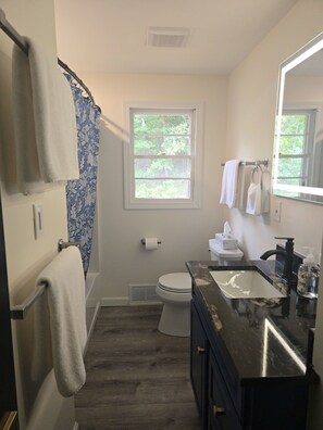 A bathroom with a toilet, sink, and shower area. - NewFound LakeHouse! 225' totally PRIVATE Sandy Beach! W-O-W!  (Bristol)