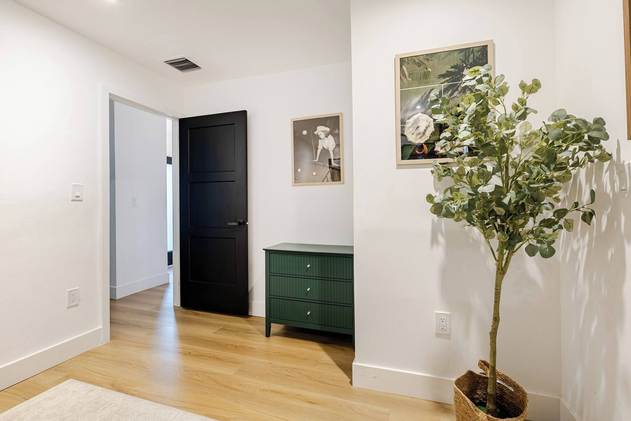 A hallway with a wooden floor, a green dresser, a door, and a potted plant.