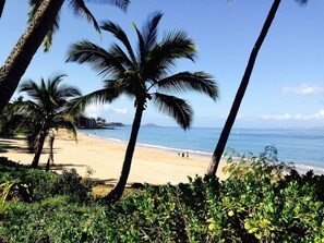 A beach with palm trees and a clear view of the ocean. - Steps to Maui's Charley Young Beach Condo Apt 1 (Kihei)