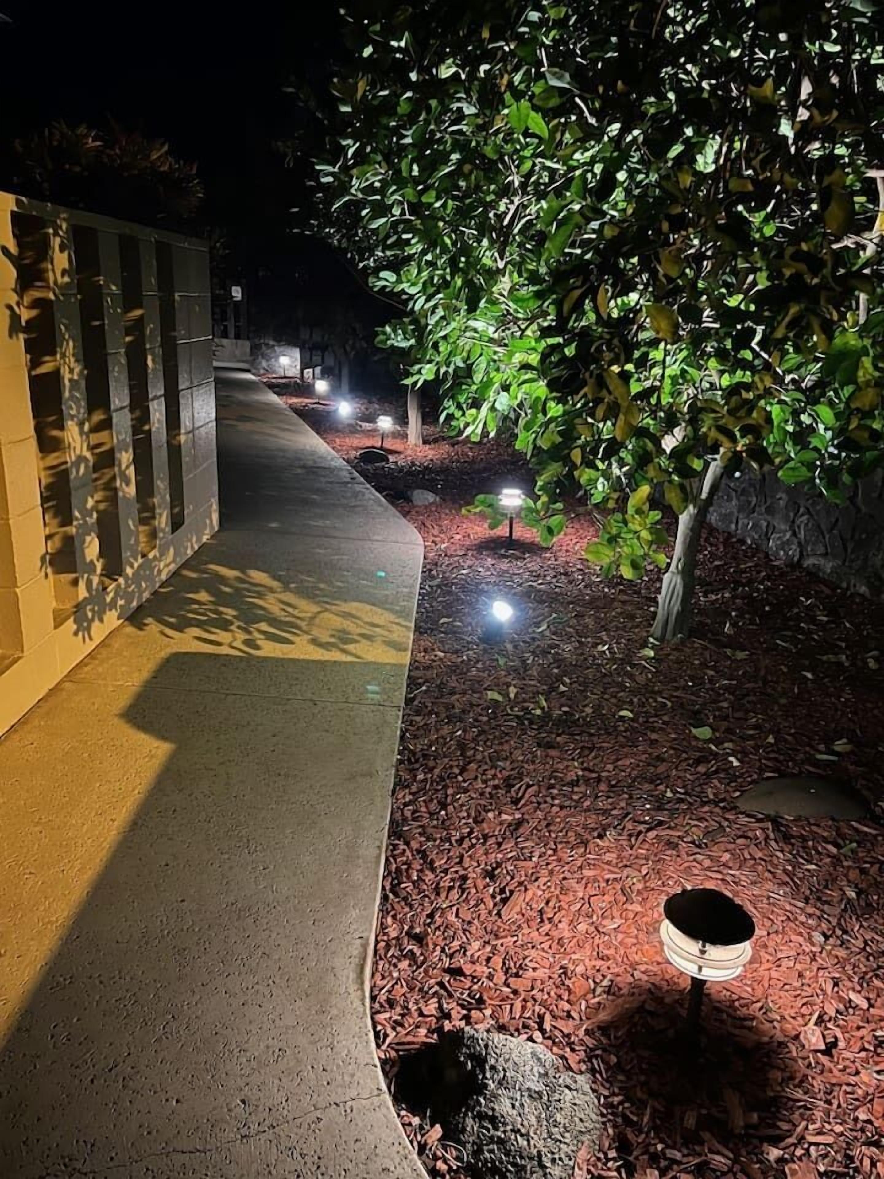 Un sendero con borde de concreto, rodeado de mantillo y un árbol.