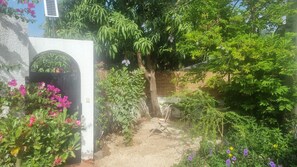 A garden with a white wall, a metal gate, and various plants including bougainvillea and a tree with hanging fruits. - Beautiful private villa in a gated community with a garden—centrally located, with everything within walking distance! (Saly)