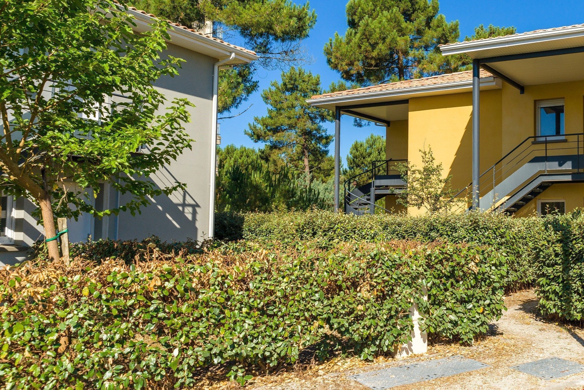 A residential building with a paved pathway, surrounded by dense shrubbery and trees.
