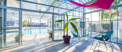 Zona con paredes de vidrio, piscina, sillas y plantas en macetas.