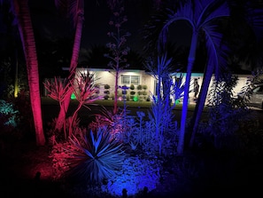 Ein Garten bei Nacht mit beleuchteten Pflanzen und einem Gebäude im Hintergrund.