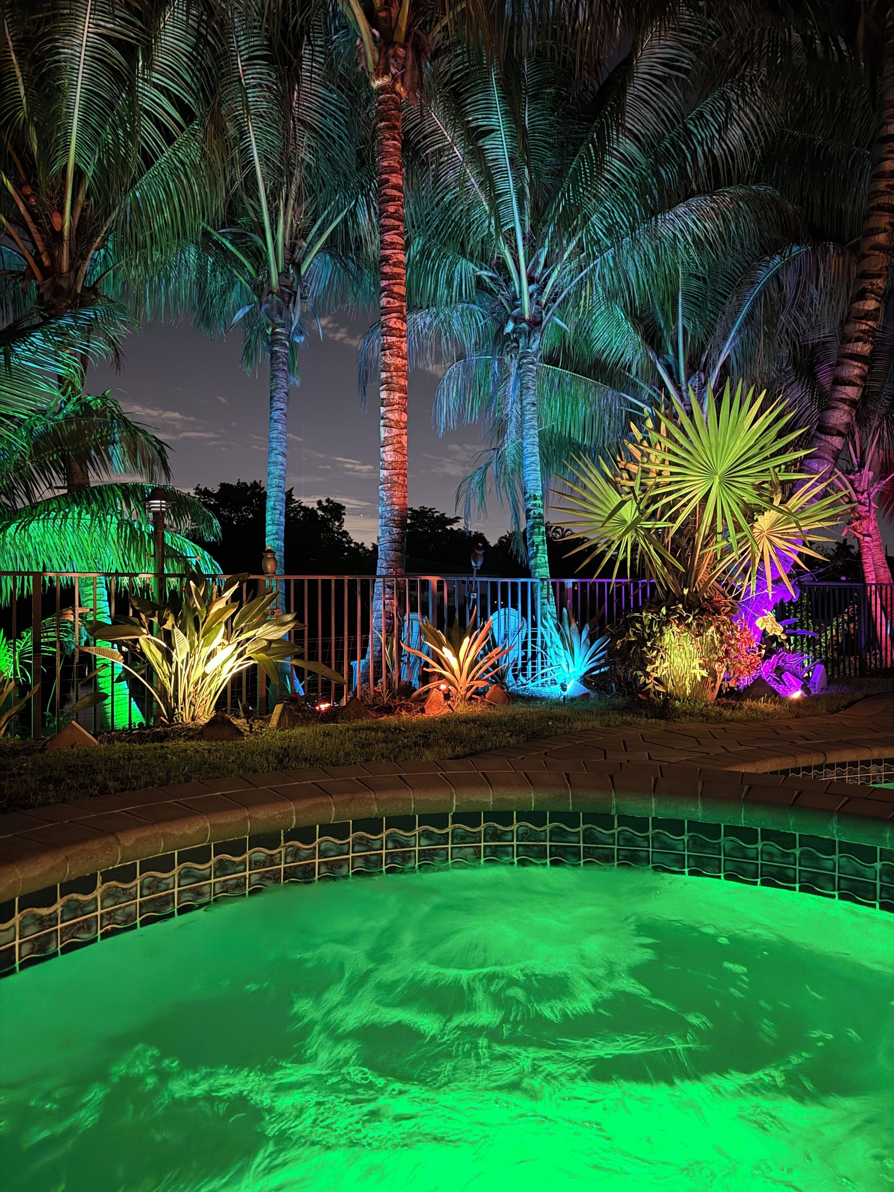 Een nachtzicht van een aangelegde tuin met palmboompjes en verlichte planten.