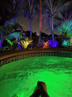 Ein Schwimmbecken mit gefliestem Rand, umgeben von Palmen und beleuchtet mit bunten Lichtern.
