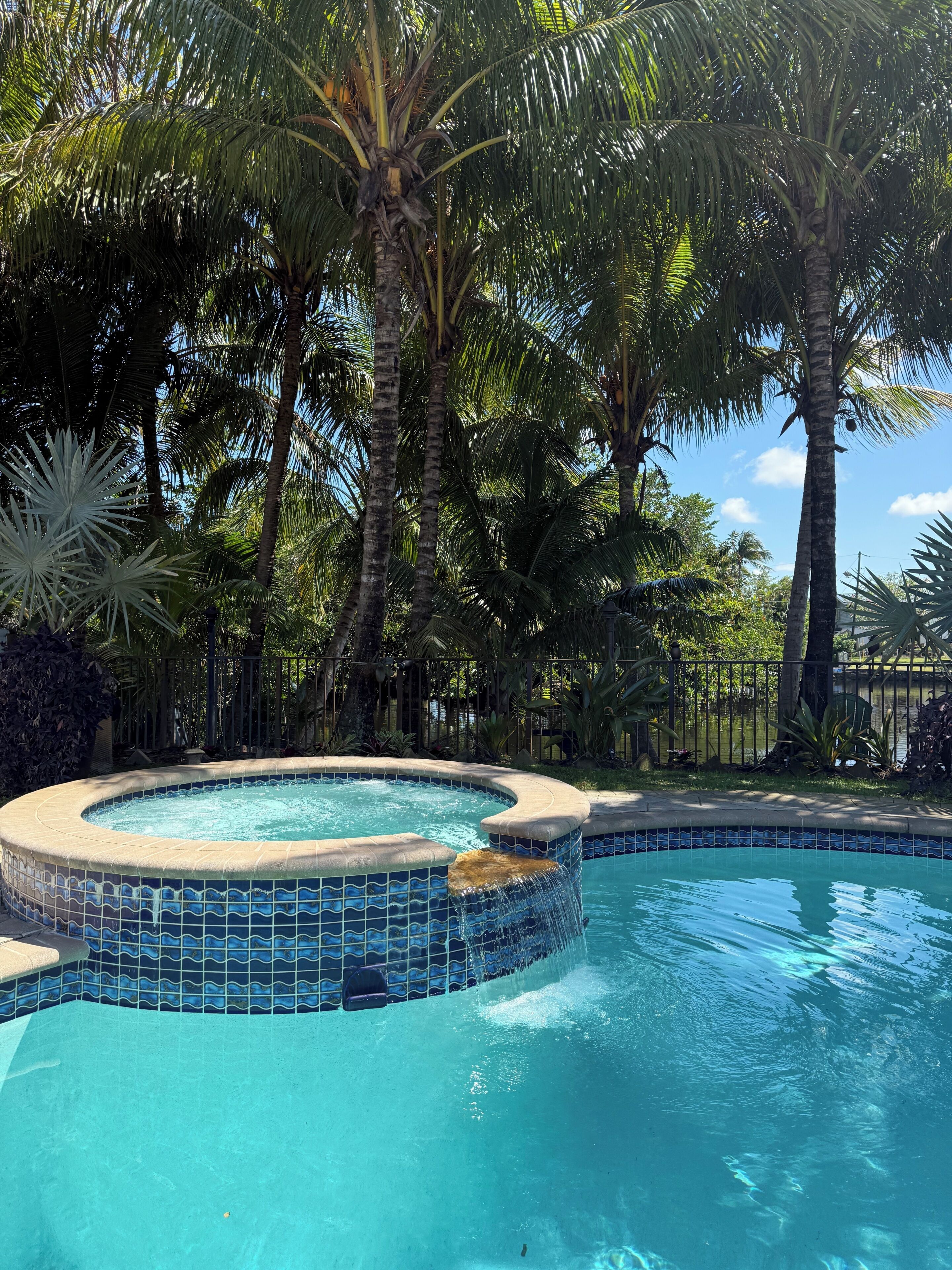 A swimming pool with a tiled edge, surrounded by palm trees and other tropical plants.