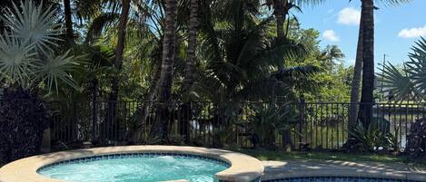 A swimming pool with a tiled edge, surrounded by palm trees and other tropical plants.