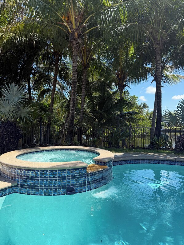 Une piscine dont le bord est revêtu de carreaux, entourée de palmiers et d’autres plantes tropicales.